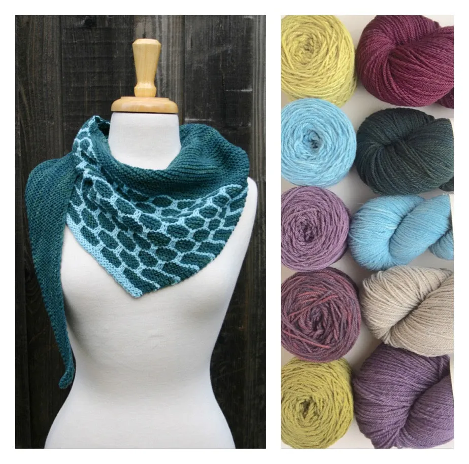 Cellular Shawlette Kit